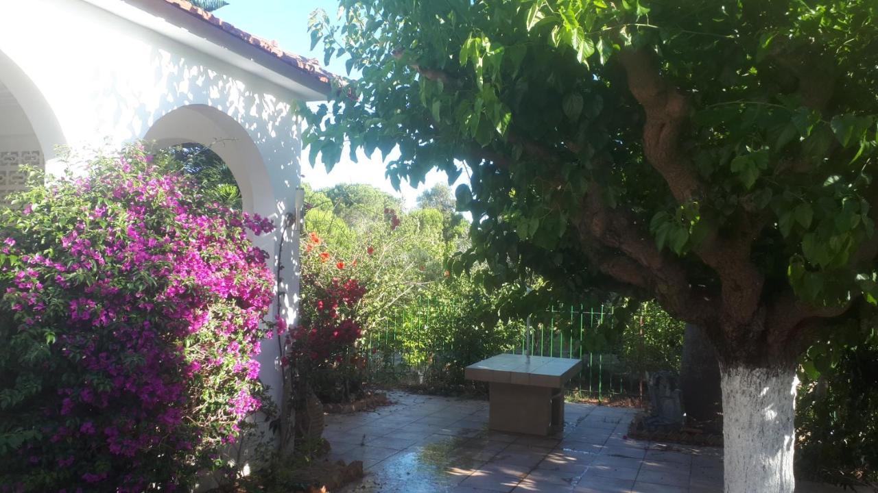 Villa Dunes 350M From The Sandy Beach كالوغريا المظهر الخارجي الصورة