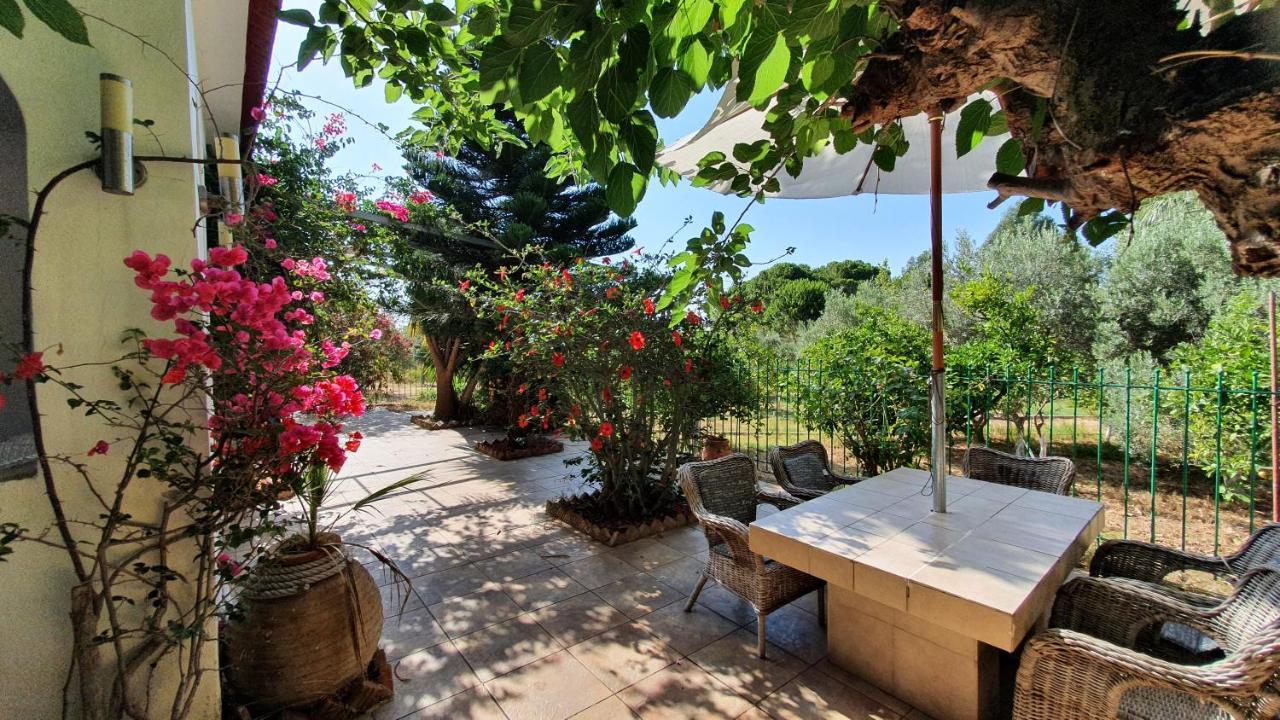 Villa Dunes 350M From The Sandy Beach كالوغريا المظهر الخارجي الصورة